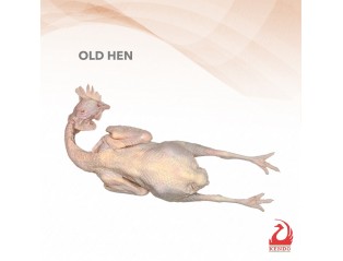 Old Fowl 1.3kg-1.5kg +- 老母鸡