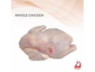 Fresh Chicken 1.5kg - 1.6kg +- 鲜鸡