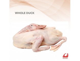 Fresh Duck 2.8kg - 3kg +- 鲜鸭