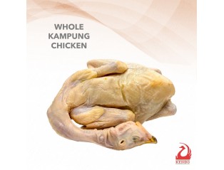 Kampong Chicken 1.5kg - 1.6kg +- 山芭鸡